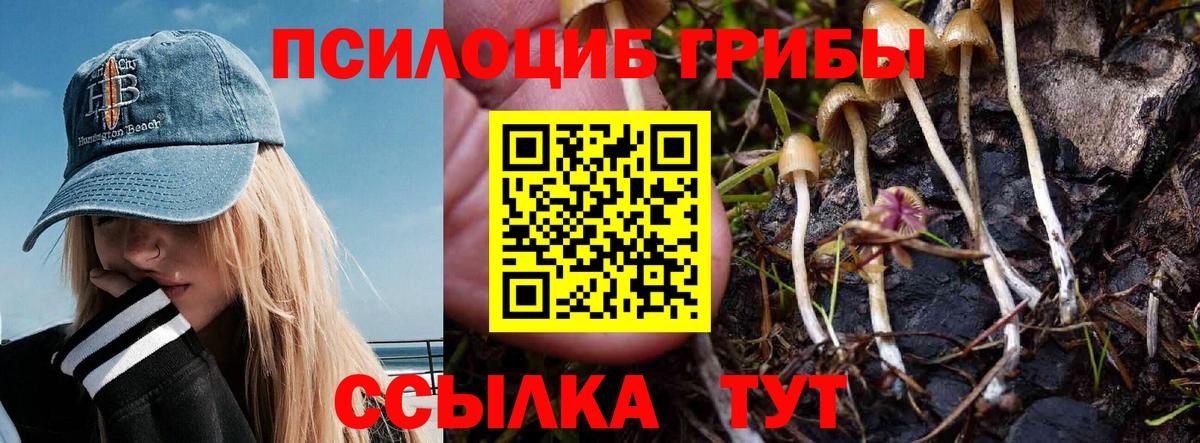 Псилоцибиновые грибы Psilocybine cubensis  Вход с VPN  Жуковский 