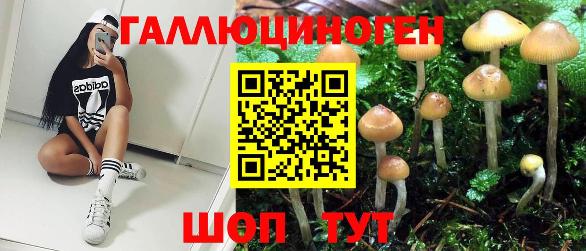 Галлюциногенные грибы GOLDEN TEACHER Жуковский